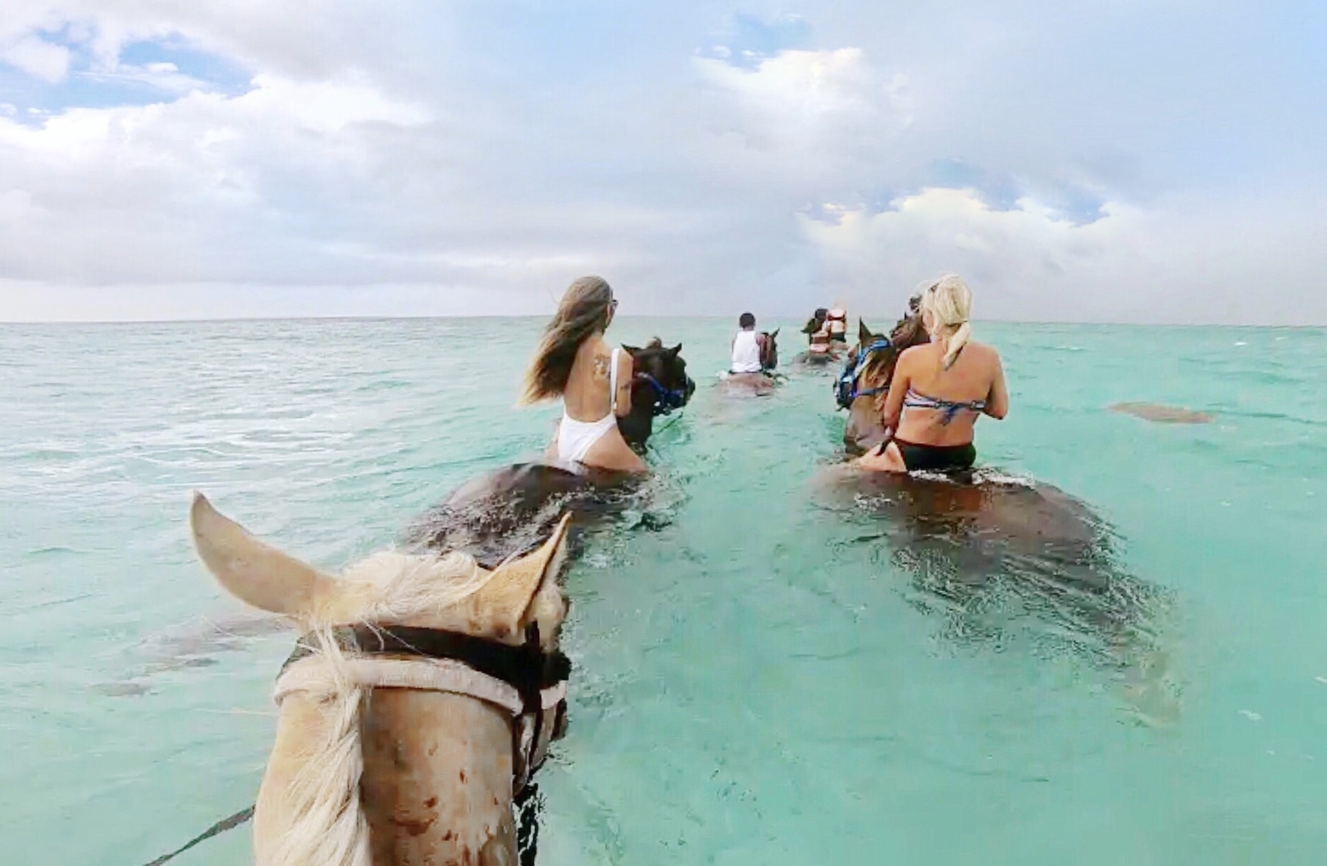 grand cayman excursions, swim with ponies in grand cayman, cayman islands, adventures in grand cayman