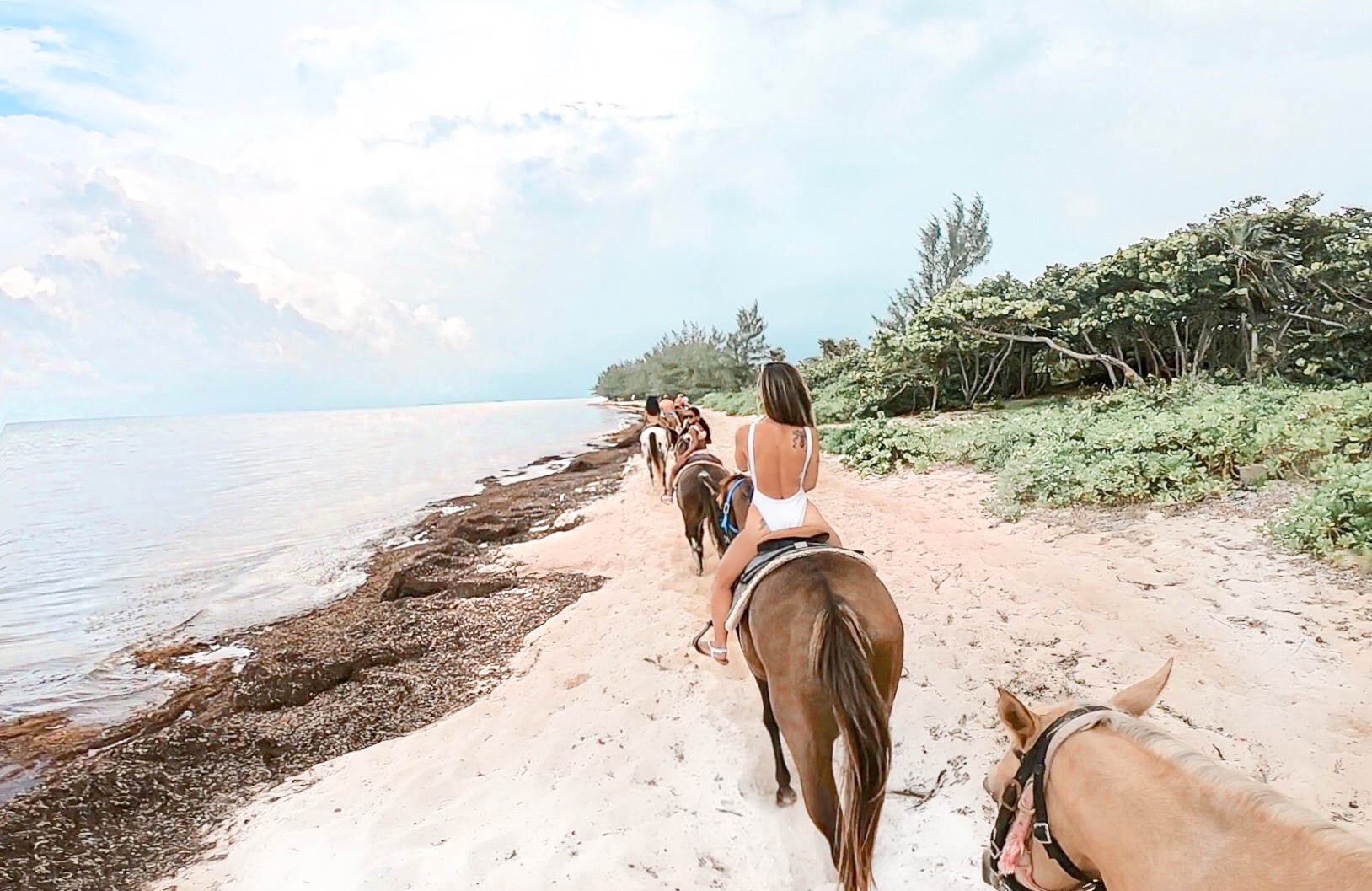 Horseback riding in the Caribbean, swim with ponies in grand cayman, grand cayman